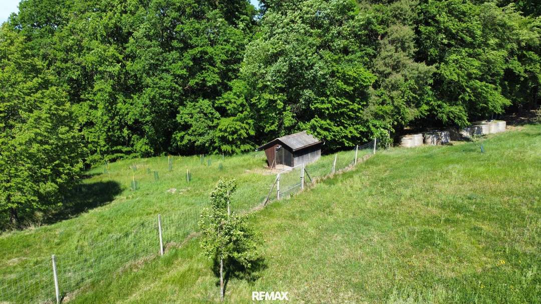 Sonnige Landwirtschaftsfläche mit vielseitigem Potenzial - ideal für Tierhaltung & Naturprojekte