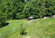 Sonnige Landwirtschaftsfläche mit vielseitigem Potenzial - ideal für Tierhaltung & Naturprojekte