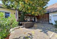 Vielseitig nutzbare Liegenschaft mit ausreichend Platz und herrlichem Blick auf die Hohe Wand