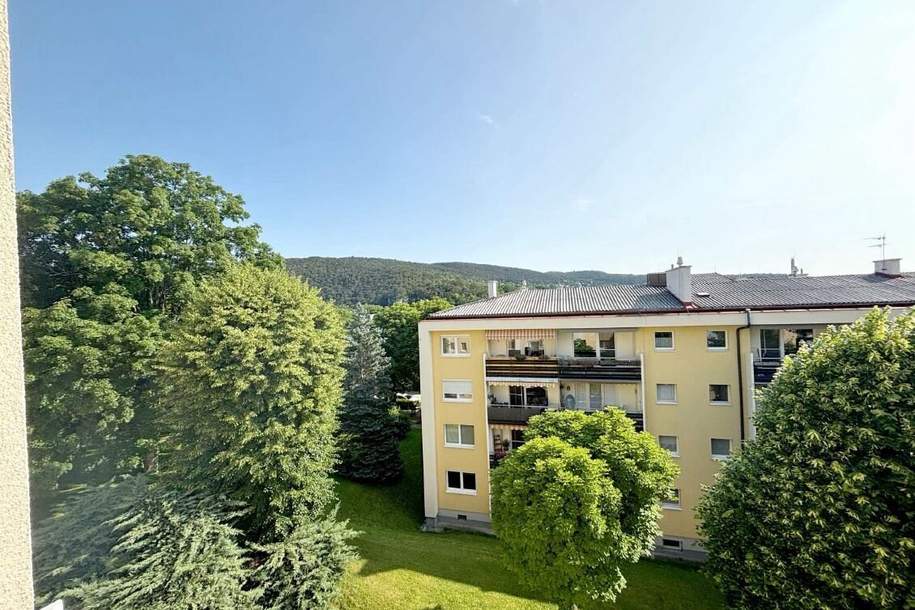 Erstbezug! Großzügige sanierte Eigentumswohnung mit Loggia!, Wohnung-kauf, 390.000,€, 2500 Baden
