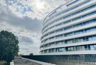 Singlehit Nahe Alte Donau und Freifläche - Danubeview