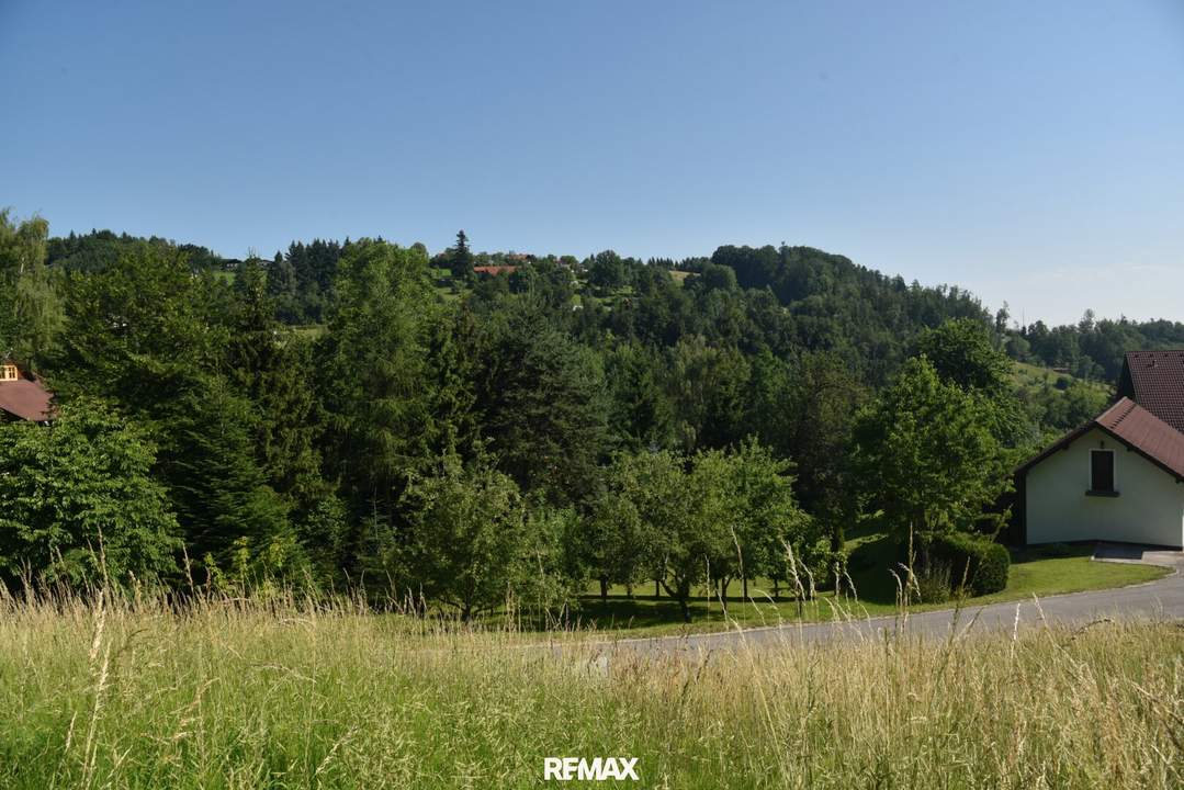 Natur pur am Vöcklaberg: Preiswertes Hanggrundstück in absoluter Ruhelage