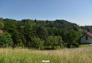 Natur pur am Vöcklaberg: Preiswertes Hanggrundstück in absoluter Ruhelage