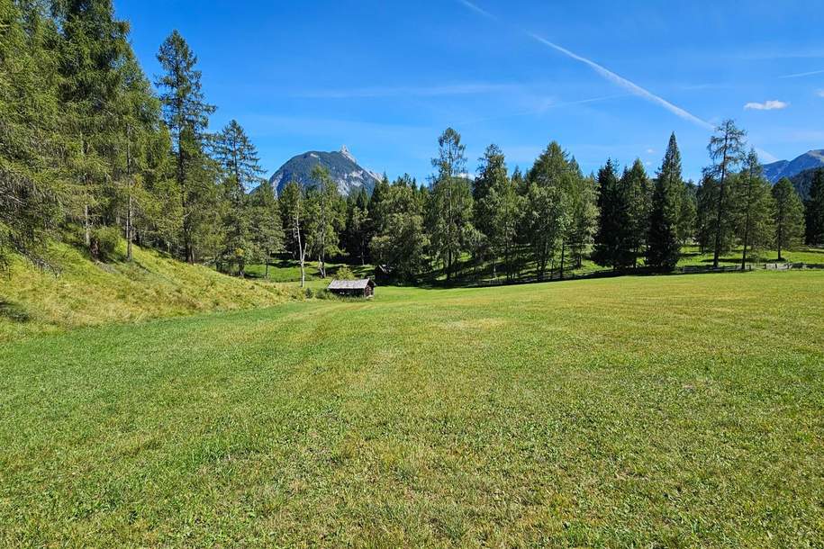 Naturnah investieren: Landwirtschafts- und Waldfläche!, Grund und Boden-kauf, 450.000,€, 6105 Innsbruck-Land