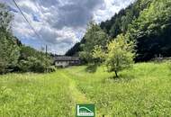 Altbestand auf wunderschönem Grundstück, gesamt ca. 4.700m² (Bauland/Wiesen/Wald) beim Wald nach der Hermannshöhle in absoluter Ruhe- &amp; Naturlage.