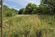 "Landleben pur – viel Grund &amp; großes Potenzial"