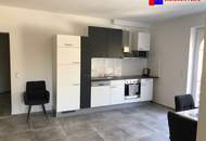 7000 Eisenstadt sehr schönes 60m2 Terrassen Apartment Top möbliert mit Seeblick in herrlicher Waldrand Ruhelage! (Provisionsfrei)