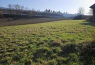 Landwirtschaftliche Flächen &amp; Gutshof