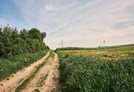 Das perfekte Familienzuhause: Großzügige 4 Zimmer Gartenwohnung mit viel Platz_T1_PROVISIONSFREI! Kleegarten