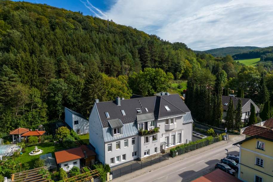 " Ausgezeichnetes, modernisiertes Zinshaus in Pressbaum ", Gewerbeobjekt-kauf, 2.490.000,€, 3021 Sankt Pölten(Land)