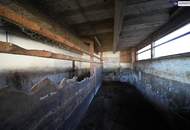 HISTORISCHER HOF IN DER GRÜNEN STEIERMARK: Ein Platz für große Pläne – von Landwirtschaft bis Pferdeparadies