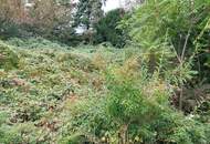 Grosses Grundstück mit bewilligtem Projekt!