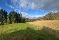 Sonniger Baugrund in absolut ruhiger Lage am Ende einer Sackgasse!