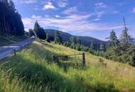 Bauland Kurgebiet und Grünland auf der Koralm