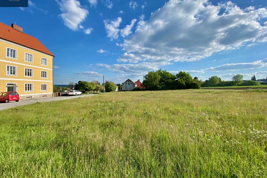 Traumhaftes Grundstück BW mit 1.961 m² in idyllischer Lage in Dietmanns bei Groß Siegharts, Grund und Boden-kauf, 39.000,€, 3813 Waidhofen an der Thaya