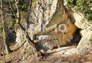 Generalsanierte historische Villa auf außergewöhnlichem Grundstück