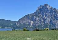 Majestätischer Seeblick mit Badeplatz, vis a vis dem Traunstein!