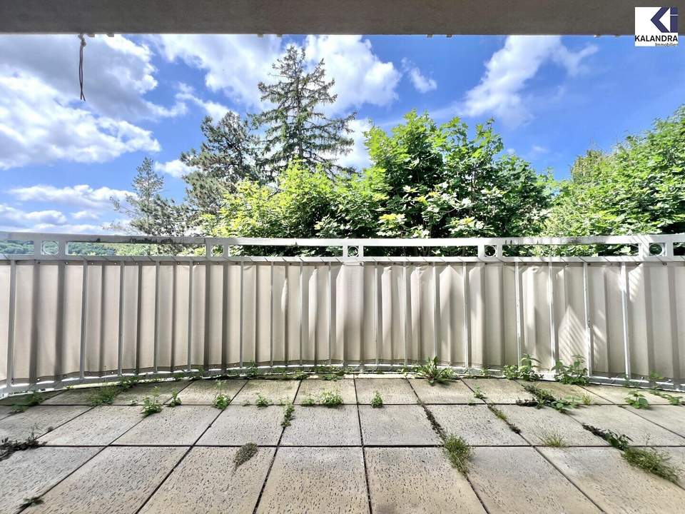 360° TOUR // TERRASSENWOHNUNG in PÖTZLEINSDORF