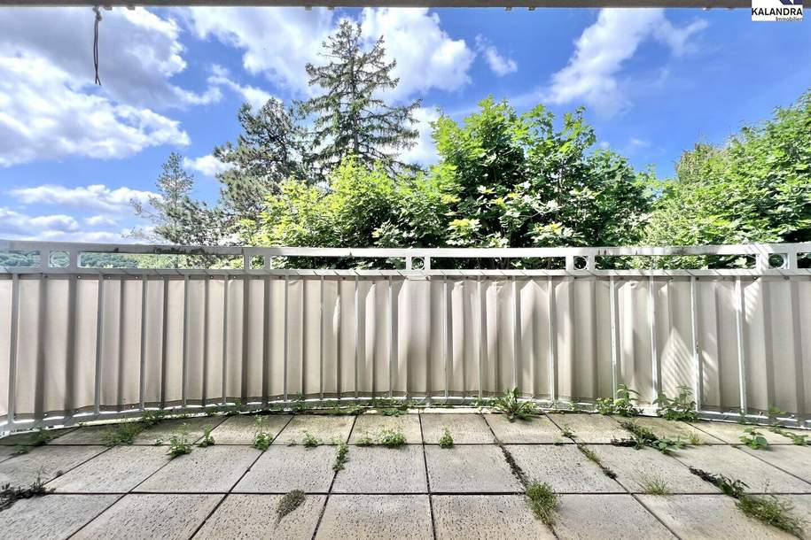 360° TOUR // TERRASSENWOHNUNG in PÖTZLEINSDORF, Wohnung-miete, 3.915,23,€, 1180 Wien 18., Währing