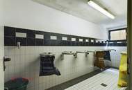 Wohnen mit Flair – Gemütliche 3-Zimmer-Wohnung in grüner Umgebung