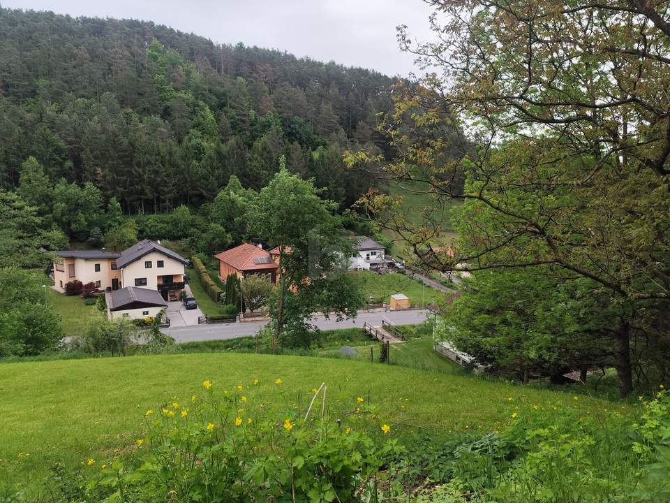 WO DIE SEELE AUFATMET - IHR ZUHAUSE IM GRÜNEN