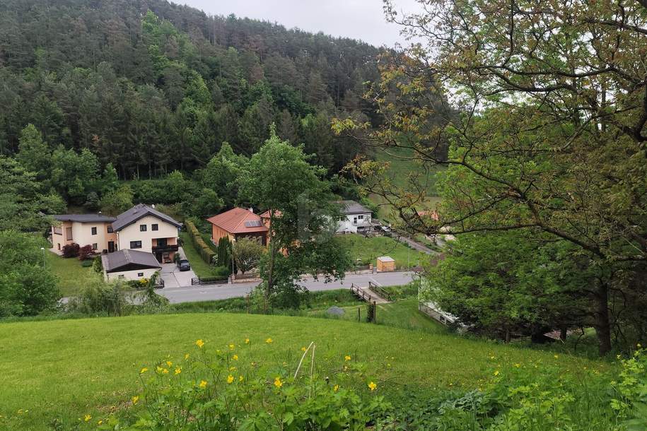WO DIE SEELE AUFATMET - IHR ZUHAUSE IM GRÜNEN, Haus-kauf, 2860 Wiener Neustadt(Land)