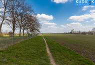 Grundstück mit 6.755 m² im Grünland-Erholungsgebiet neben Golfclub Marco Polo