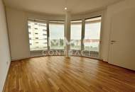 Living with a luxurious touch by the Danube.