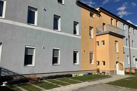 Modernisiertes Zinshaus im Wohnungseigentum, Gewerbeobjekt-kauf, 1.749.000,€, 2353 Mödling