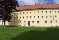 5 Zimmer und 5 Gründe um einzuziehen: frisch saniert, sofort bezugsbereit, familienfreundlich, praktisch geschnitten &amp; mitten im grünen Herzen von Steyr Münichholz! Dieser Familienwohntraum lässt keine Wünsche offen!
