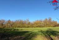 Freizeitgrundstück in Gaweinstal – ruhige Grünlage mit viel Natur und Entwicklungspotenzial