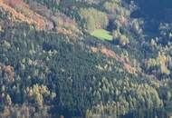 ALLEINLAGE - INTAKTE NATUR - HERRLICHE AUSSICHT - IHR TRAUM? GERNE BAUER?