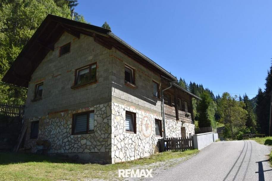 Alt- und Neubau mit großer Grünfläche, Haus-kauf, 110.000,€, 9861 Spittal an der Drau
