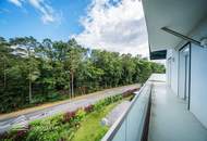 Sensationelle 3-Zimmer Wohnung mit Balkon