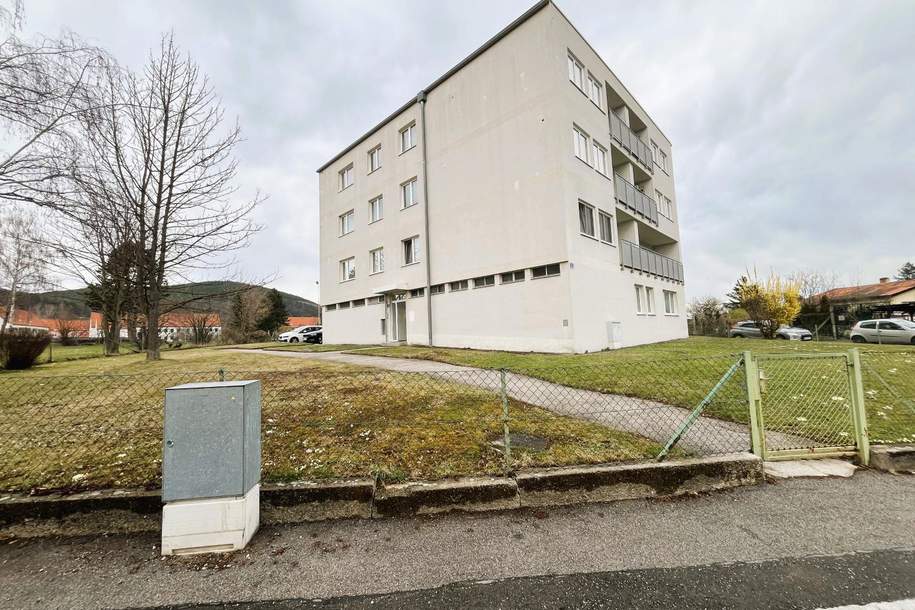 Investmentobjekt - Wohnhausanlage mit 12 Einheiten!, Gewerbeobjekt-kauf, 1.125.000,€, 2630 Neunkirchen