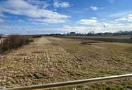 Geräumiges, voll unterkellertes Wohnhaus - zum Fertigstellen!