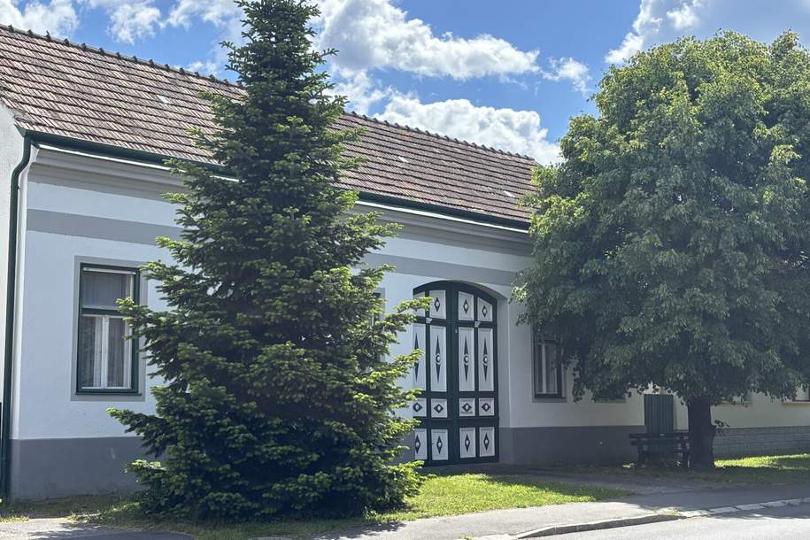 Stilvoller Streckhof mit Nebengebäude im idyllischen Südburgenland, Haus-kauf, 149.000,€, 7546 Güssing
