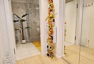 STEPHANSPLATZ-NÄHE, 27 m2 Apartment, 1 Zimmer, Kochnische, Duschbad, Parketten, 8. Liftstock, Rotenturmstraße