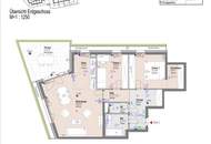 ERSTBEZUG "ein viertel grün" in Wr. Neustadt - traumhafte 3 Zimmer Gartenwohnung