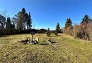 Charmantes Haus in Ruhelage mit Top-Anbindung!