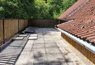Natur & Ruhe genießen – Einfamilienhaus am Waldrand in 3594 Nondorf -Terrasse und Garten