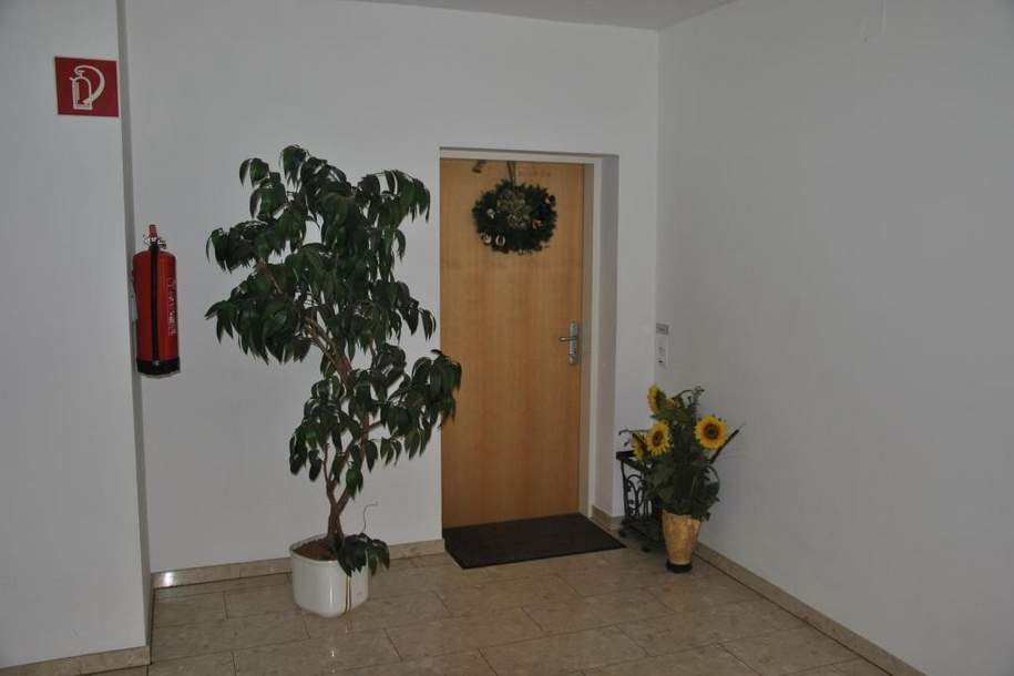 Mietwohnung mit Wintergarten und Grünfläche!, Wohnung-miete, 1.545,56,€, 9800 Spittal an der Drau