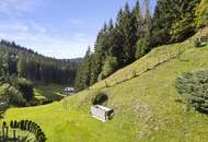 Kleinlandwirtschaft mit Wohnhaus und Wirtschaftsgebäude in Unterpreitenegg im Oberen Lavanttal