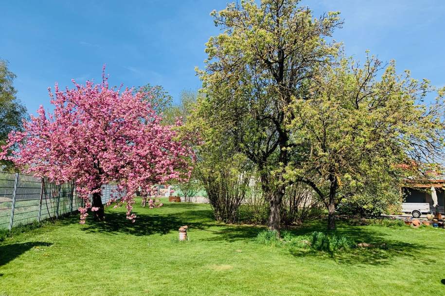 Haus mit traumhaftem Garten in Lanzendorf | 6 Zimmer, 4 Autostellplätze | Auch als Mehrfamilienhaus nutzbar | Am Naherholungsgebiet Zayawiesen, Haus-kauf, 490.000,€, 2130 Mistelbach