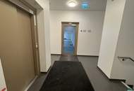Ab sofort: Moderne 2-Zimmer-Wohnung mit Terrasse und Garten nahe U1