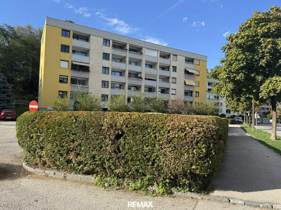 4 Zi - Eckwohnung im Hochparterre