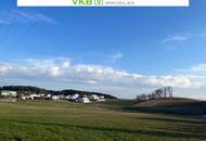 Idyllisches Eigenheim mit platzreichem Garten in Spattendorf - Gemeinde Alberndorf in der Riedmark (GST 2460/8)