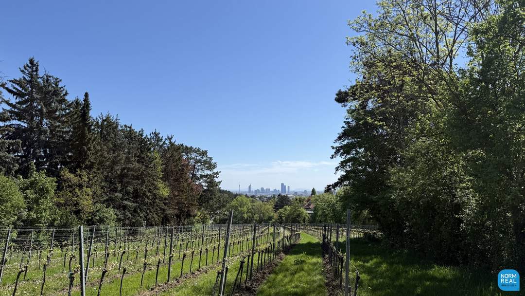Leben mit Blick auf Weinberge und die Stadt, Terrassen inklusive!