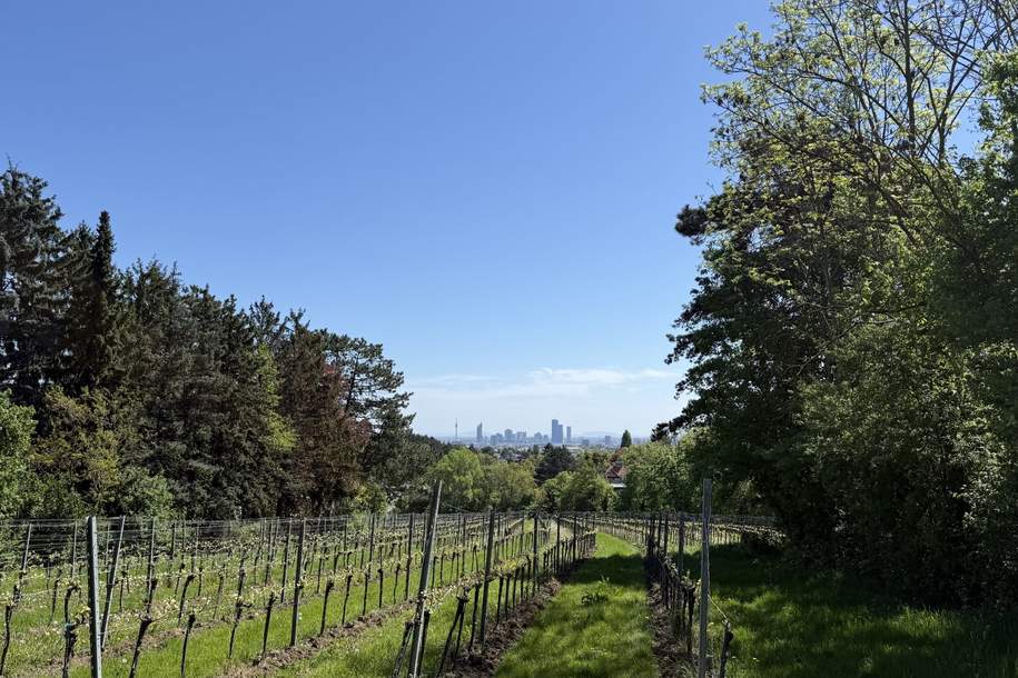 Leben mit Blick auf Weinberge und die Stadt, Terrassen inklusive!, Wohnung-kauf, 1.900.000,€, 1190 Wien 19., Döbling
