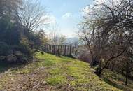 Traumhafte Aussichtslage in der Steiermark - Einfamilienhaus mit riesen Potenzial